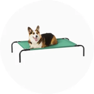 Pet Supplies